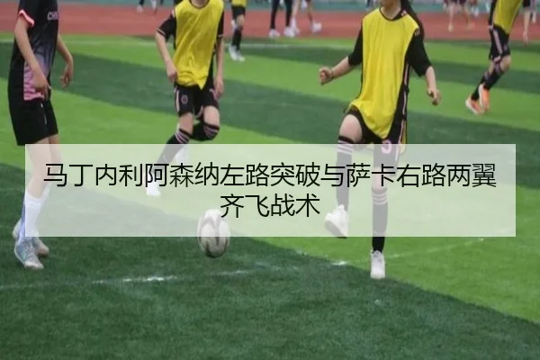 ma-ding-nei-li-a-sen-na-zuo-lu-tu-po-yu-sa-ka-you-lu-liang-yi-qi-fei-zhan-shu-3-269.jpg